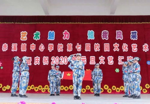 艺术魅力,炫我风采 我校第七届校园文化艺术节暨庆祝2020年元旦文艺汇演圆满落幕