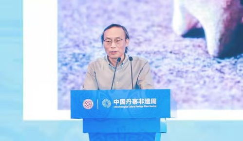 中国艺术研究院研究员吕品田 保护非遗 维护文化多样性