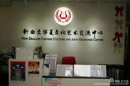驰援中华 新西兰华夏文化艺术交流中心 新西兰文化艺术基金会全力以赴