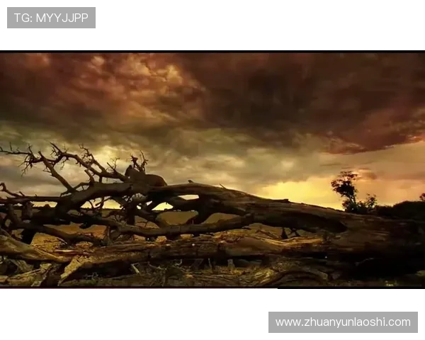 落日杀神的复仇之路揭开神秘面纱权力与背叛交织的血腥传奇